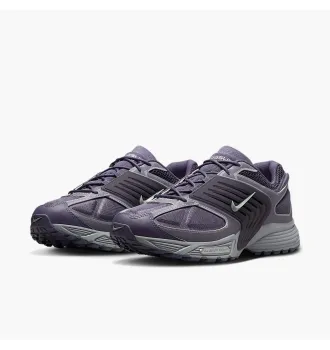 Кросівки чоловічі Nike Air Pegasus 2k5 Wave фото 2