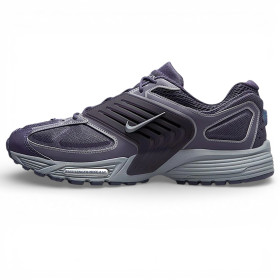 Кроссовки мужские Nike Air Pegasus 2k5 Wave