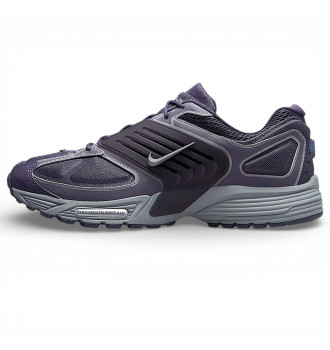 Кроссовки мужские Nike Air Pegasus 2k5 Wave