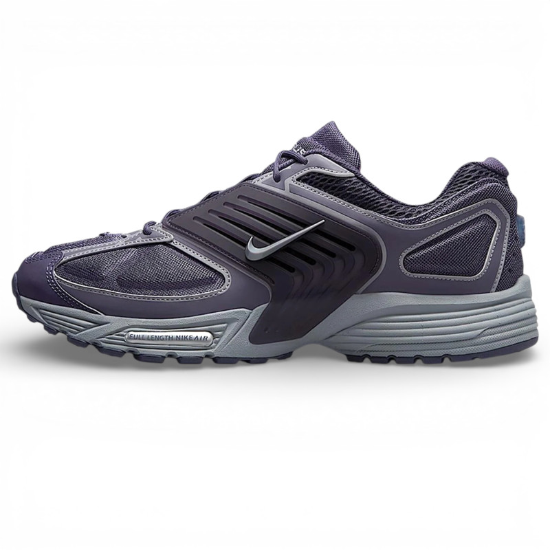 Кросівки чоловічі Nike Air Pegasus 2k5 Wave фото