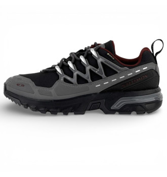 Кроссовки мужские Salomon ACS+ Gore-Tex