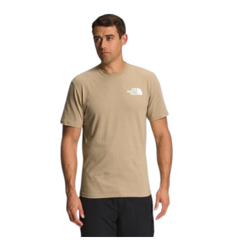 Футболка мужская The North Face T-shirt Beige