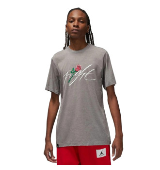 Футболка мужская Jordan Brand Sorry Tee