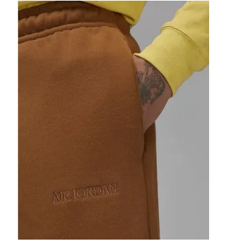 Шорты мужские Jordan Ess Wordmark Flc Shorts фото 2