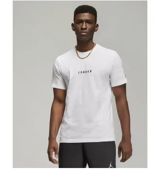 Футболка мужская Jordan Air Tee White фото 6