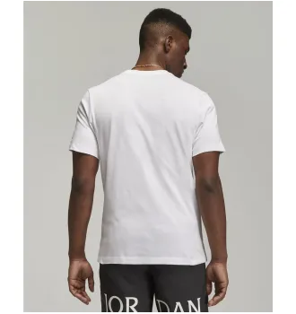 Футболка мужская Jordan Air Tee White фото 3