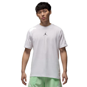Футболка чоловіча Jordan Sport DF 23 Crew Tee
