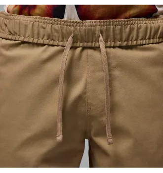 Шорты мужские Jordan Essentails Brown Shorts фото 2