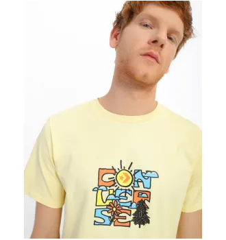Футболка Converse Mother Nature Tee Yellow фото 2