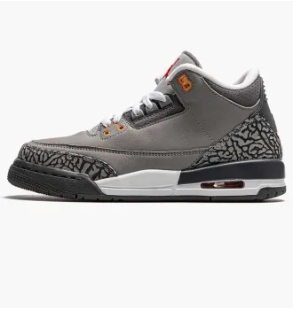 Кроссовки Air Jordan 3 Retro Cool Grey 2021 (GS) фото 4