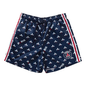 Шорты женские Air Jordan Paris Saint-Germain Women