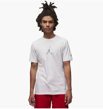 Футболка Air Jordan Brand Jfx Ss Crew2 Anti-Gravity Machines White фото 7