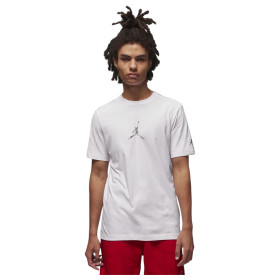 Футболка Air Jordan Brand Jfx Ss Crew2 Anti-Gravity Machines White