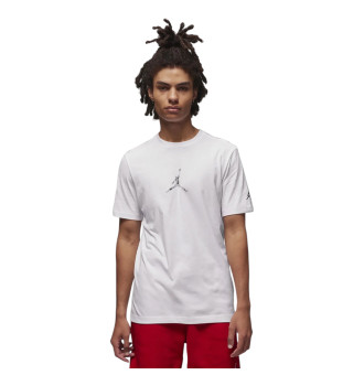 Футболка Air Jordan Brand Jfx Ss Crew2 Anti-Gravity Machines White