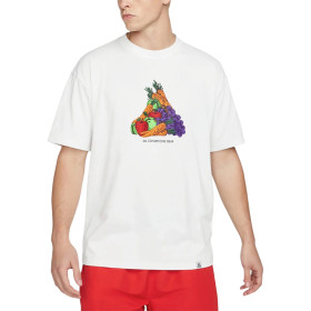 Футболка мужская Nike Acg Fruit & Veggies White