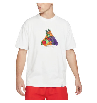 Футболка чоловіча Nike Acg Fruit & Veggies White