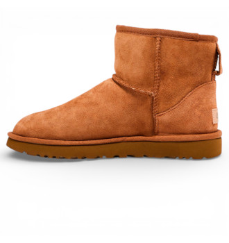 Уггі жіночі UGG Women