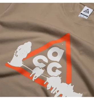 Футболка мужская Nike ACG OC Dog Sled T-shirt Khaki фото 2