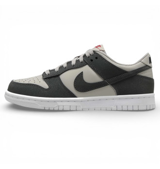 Кроссовки Nike Dunk Low Light Iron Ore White Gym Red Anthracite