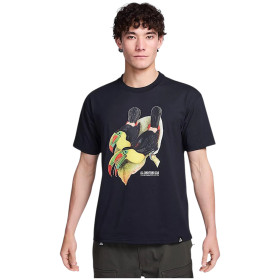 Футболка мужская Nike Acg Dri-fit Toucan T-shirt Black
