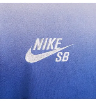 Футболка Nike SB Team USA Olympics L/S Federation Skate Tee White фото 2